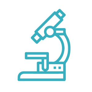 lab